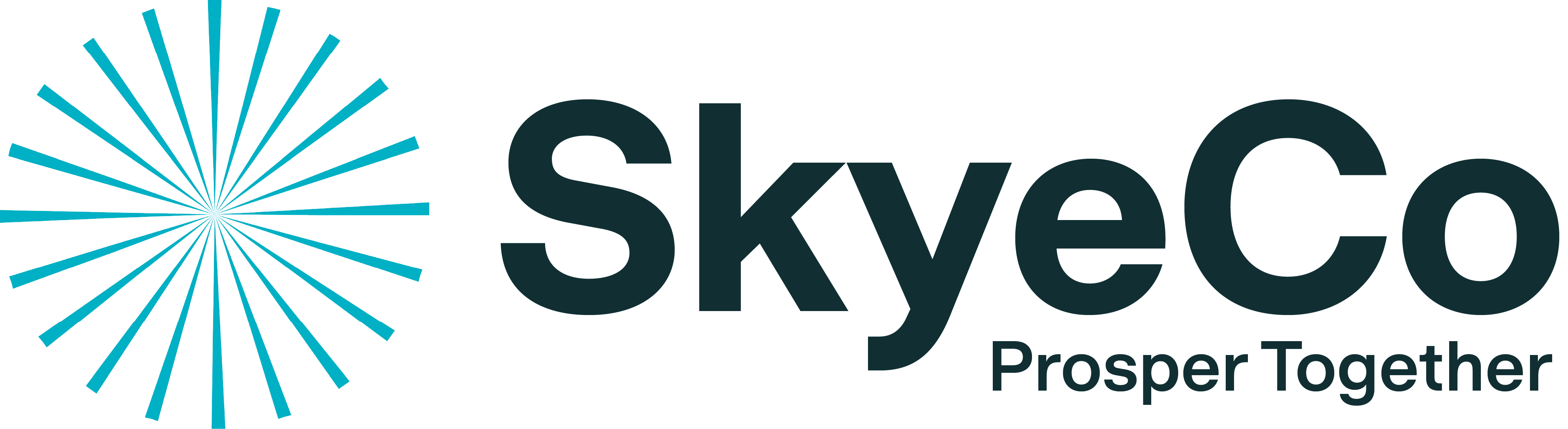 Skye Co Logo